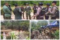 Gakkum KLHK dan Tim Gabungan Gerebek Lokasi Pembalakan Liar di Muaro Jambi