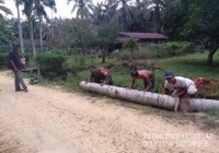Babinsa Koramil 09/Lgm Kodim 0313/KPR Ciptakan Rasa Kebersamaan Bahu Membahu Dengan Masyarakat