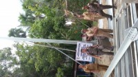  Satpol PP Kampar Tertibkan Tower Tanpa Izin