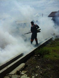 Antisipasi Perkembangbiakan DBD, Camat Pangkatan Lakukan Poging