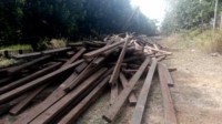 Poldishutbun Rohul Amankan Puluhan Kubik Kayu Iegal Loging di Tambusai