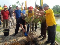 Percantik Wisata Parit Bay Park, Pemkab Tanami Ratusan Pohon Ketapang Kencana