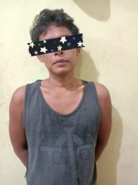 Curi  Besi Tiang Power Line  Milik PT. CPI Team Opsnal Polsek Pinggir Amankan Pelaku