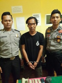 Pengedar Daun Ganja di Ringkus Sat Narkoba Polres Pelalawan