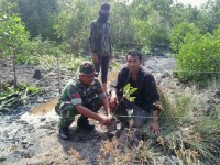 Babinsa Bersama Mahasiswa Politeknik Negri Bengkalis Tanam Pohon Mangrove