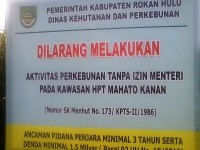 Dishutbun Rohul Dinilai Tidak Konsisten Menangani Hutan Konservasi Mahato 