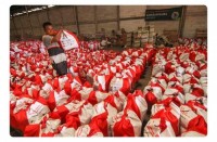 Penyaluran Bansos Diperpanjang, Pemda Diminta Validasi Ulang Data
