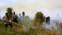 Sekitar 300 Hektar Lahan di Bonai Darussalam Terbakar