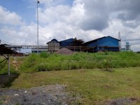 Lokasi Pabrik PKS PT SIPP Diduga Berdiri di Kawasan HPT Rangau.