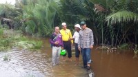 Tak Mampu Pakai Anggaran Desa, Jalan di Kuala Gaung Butuh Perhatian Pemda Inhil