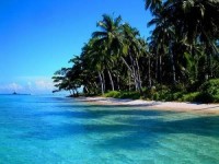 Beredar Isu Bupati Keluarkan Izin Prinsip Pembangunan Pariwisata Pulau Rupat