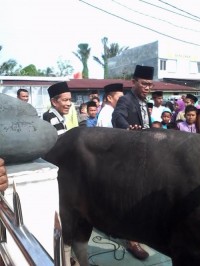 Idul Adha 1436 H, Bupati Kurban 7 Ekor Kerbau