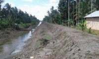 Dewan,DPRD Inhil Targetkan Penyelamatan 12.500 Hektare Kebun Kelapa Rakyat