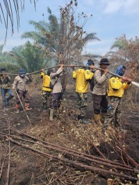 Para Relawan Dikirim ke Rupat Bengkalis, Usai Prlatihan Pemadaman Karhutla