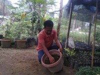 Kades Rantau Sakti  Sukseskan Program 1 Miliar Pohon