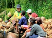 Bupati Wardan Shoting Video Persiapan Penyelenggaraan Festival Kelapa Internasional