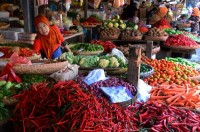 Jalan Lintas Sumbar-Riau Putus, Plt Gubri Khawatir Harga Kebutuhan Pokok di Riau Naik