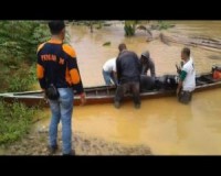Sudah 5 Bulan Putus Jembatan Mentawai Tak Kunjung Dibangun