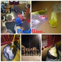  Ngeplay Lem Cap Kambing Diamankan Satpol PP & Damkar Kab.Pelalawan