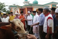 Gubernur Riau Serahkan 2 Ekor Sapi Kurban Untuk Meranti