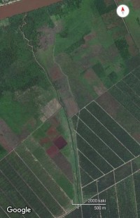 HULU ANAK SUNGAI HILANG,BERUBAH MENJADI KANAL PT.ADE PLANTATION