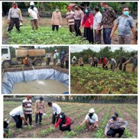 PT Sari Lembah Subur Bekerja Sama Dengan Polsek Kerumutan Membuat Program Ketahanan Pangan