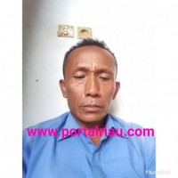  Wartawan Jadi Korban Penganiayaan Bandar Togel Di Pelalawan