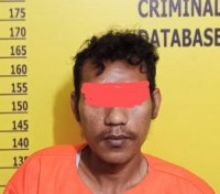 Team Opsnal Polsek Pinggir Ringkus Warga Desa Muarabasung Diduga Edarkan Daun Ganja Kering