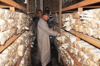Jefry Noer : Jabarkan Cara Tingkatkan Ekonomi Melalui RTMPE
