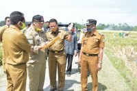 Bupati dan Wabup Sergai Laksanakan Monitoring dan Evaluasi (Monev) Pembangunan Desa di Pantai Cermin