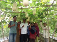 Perkebunan Sebagai Sektor Perekonomian Dirohil