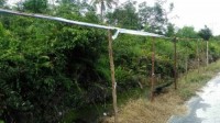 Rusak Baleho Dapat di Kenakan Sanksi Pidana