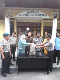 Polsek Bangko Musnahkan BB Ganja Seberat 2 Kilogram
