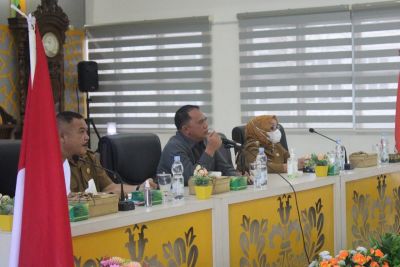 Bupati Labuhanbatu: 