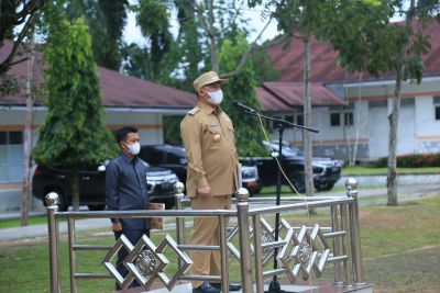 Bupati Labuhanbatu Pimpin Apel Gabungan Kelompok I,II, III dan IV
