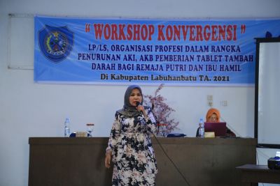 Dinas Kesehatan Kabupaten Labuhanbatu Buka Workshop Konvergensi Penurunan AKI dan AKB
