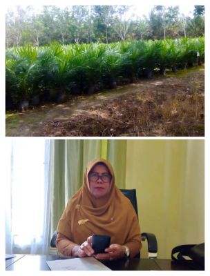 Disbunakkeswan Kampar Terus Berikan Pembinaan Kepada Petani Kelompok