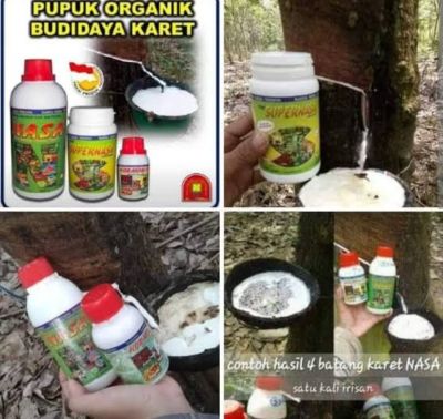 Disbunnak Keswan Kampar Dapat Bantuan Pupuk dan Obat Obatan di Tahun 2024 Dari Kementerian