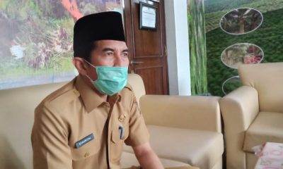 Disbunnakkeswan Kampar Targetkan 1000 Sapi Mendapat Asuransi di Tahun 2022