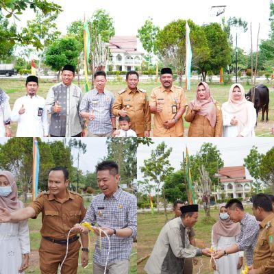 DLH potong 10 Ekor sapi untuk kurban, Bupati Rohil beri Apresiasi
