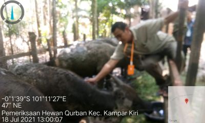 Himbau Terapkan Prokes, Disbunakkeswan Kampar Minta Panitia Kurban Agar Sesuai SE Bupati