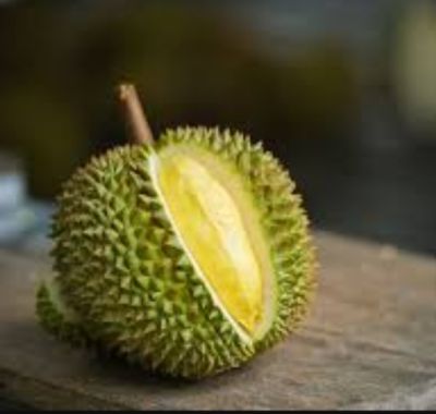 Kembangkan Varietas Durian Kampar, Berikut Langkah Dilakukan Dinas Pertanian Kampar