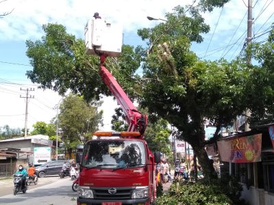 Khawatir membahayakan, BPBD Labuhanbatu Pangkas Ranting Pohon