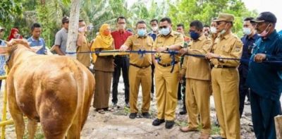 Pasar Ternak Kembang Teratai Diresmikan Bupati Kampar di Tapung