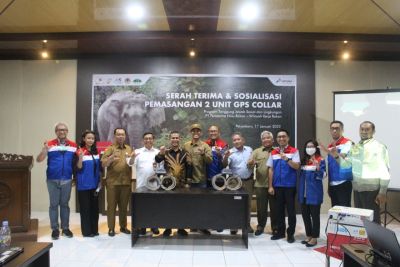 PHR Permudah Pantau Gajah liar & Lindungi Gajah Sumatra dengan GPS Collar