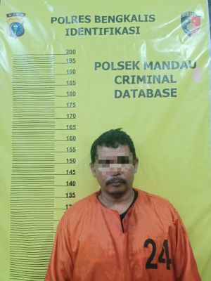 Polisi Tangkap Pelaku diduga Persetubuhan Anak Dibawah Umur di Mandau