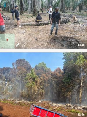 Polres Bengkalis Amankan Tersangka Kasus Perambahan Kawasan Hutan dan Karhutla di Bukit Batu 