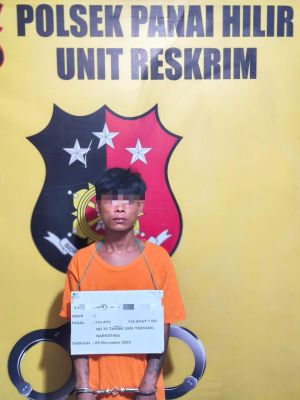 Polsek Panai Hilir Ringkus Pengedar Sabu di Perkebunan Sawit Sei Berombang*