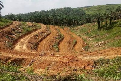PSR di Kampar, Sebagian Legalitas Masih Ada Kendala