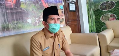 Syarat Dapatkan Bantuan PSR, Disbunakkeswan Kampar Himbau Bagi Masyarakat Bisa Datang ke Dinas